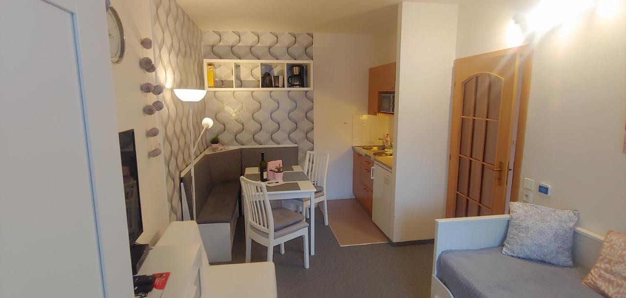 Horsky Apartman Roky - Krkonose ロキトニツェ・ナト・イゼロウ エクステリア 写真