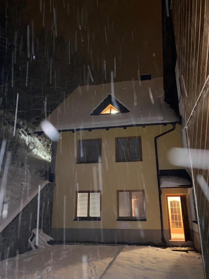 Horsky Apartman Roky - Krkonose ロキトニツェ・ナト・イゼロウ エクステリア 写真
