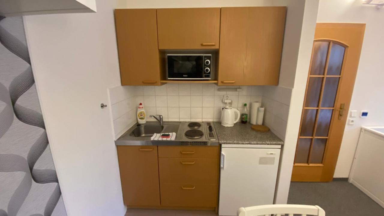 Horsky Apartman Roky - Krkonose ロキトニツェ・ナト・イゼロウ エクステリア 写真