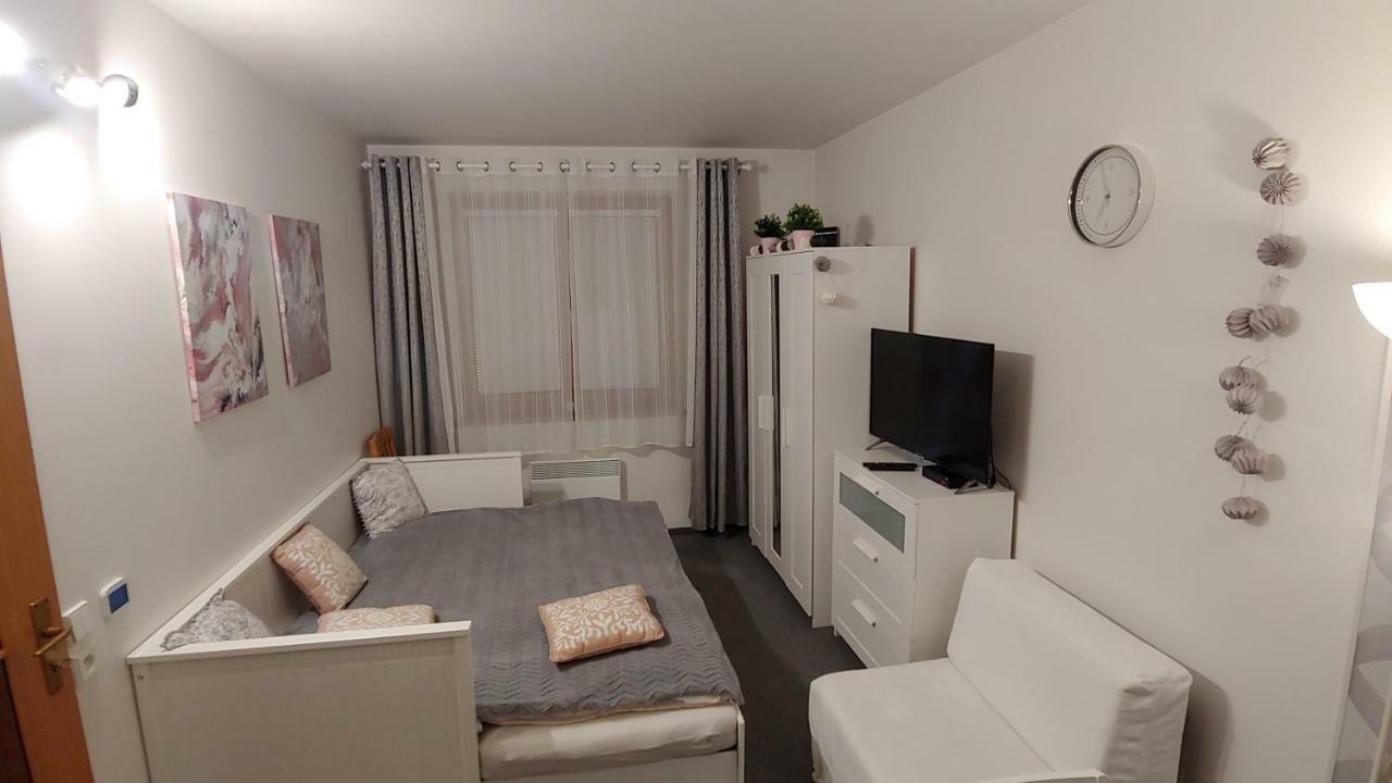 Horsky Apartman Roky - Krkonose ロキトニツェ・ナト・イゼロウ エクステリア 写真