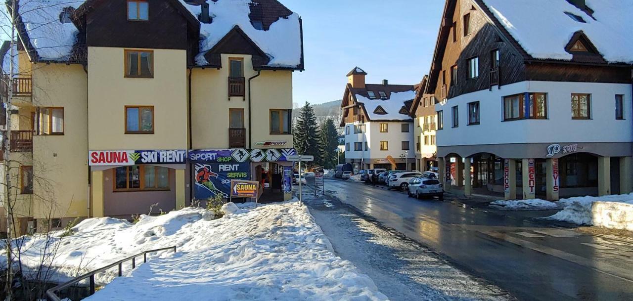 Horsky Apartman Roky - Krkonose ロキトニツェ・ナト・イゼロウ エクステリア 写真